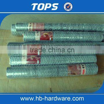 Galvanized Hexagonal Wire Netting Chicken Poultry Fence photo-5