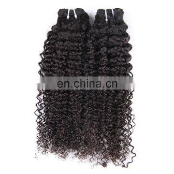 Top Sell Full Cuticle No Shedding Brazilian Kinky Curl Human Hair Extension For Black Women photo-3