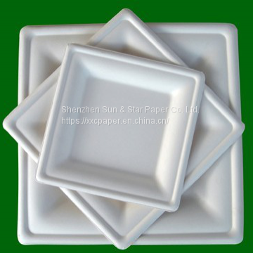 Square Plate 26x26cm in an array of shapes and sizes eco-friendly compostable plate