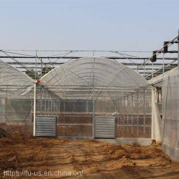 Multi Span PE Film Agricultural Greenhouse photo-4