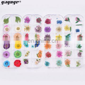 Nai Dry Flower Resin 3D Flower Nail Art