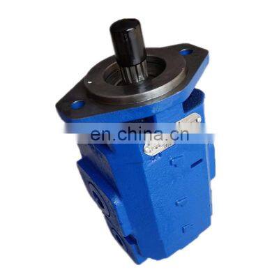 P5100-F63 F80 F100 M5100-F63 F80 F100 series gear oil pump motor P5100-F100NM487 98/P124-G10YG