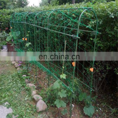 Vegetable Plastic Climbing Netting Vegetable Plants Support Net for Garden photo-5