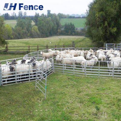 Smooth Solid Surface Sheep Panel: Elimina el enganche de la lana y las lesiones en las pezuñas para un encierro de animales más seguro y saludable