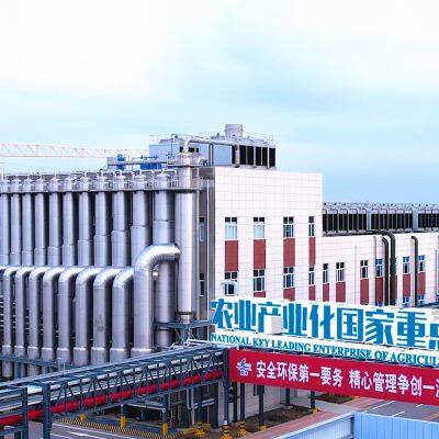 Low Calorie Sweetener Trehalose CAS 6138-23-4 Non-GMO photo-5