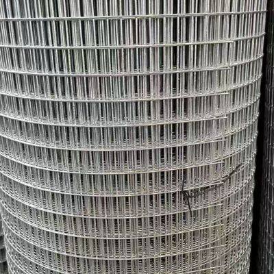 Welded Wire Mesh Rolls in Galvanized Iron Wire 0.5mm-14mm Gauge Free Samples