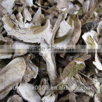 White Porcini Mushroom Dried Boletus price with High quality