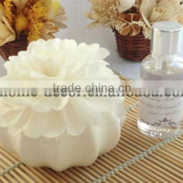 100ml ceramic aroma diffuser/aroma reed diffuser /home fragrance diffuser                        
                                                Quality Choice