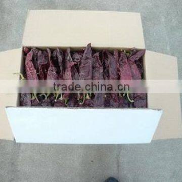 Chinese Exported Dry Sweet Paprika Whole photo-5