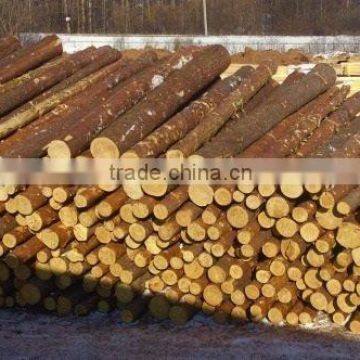 RUSSIAN Timber Log / Sawlogs /Wood Round Logs / Lumber /PINE / SPRUCE / LARCH / BIRCH