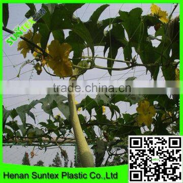 Supper Hdpe Extruded Net Tomato /cucumber Plant Support Net