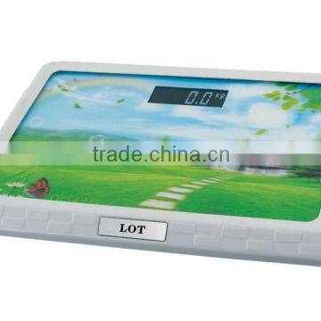 Electronic Weighing Scale photo-2