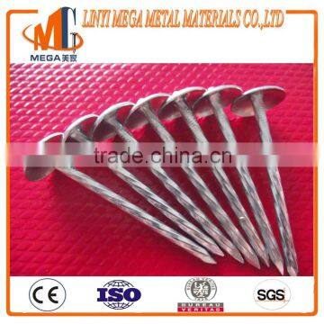 electric galvanized roofing nails