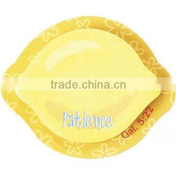 Friuts Shape OEM Logo Advertising Fridge Magnet Sticky Memo Pad