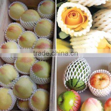 Epe Foam Fruit Net Extrusion Machine photo-2