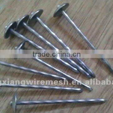 low carbon wire roofing nail with box packing (factory)