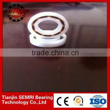 Delrin Ball Bearing with Nylon Bracket