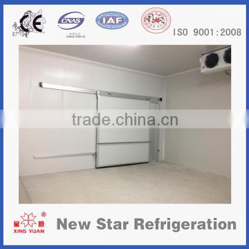 Freezer door for cold storage/cold room door