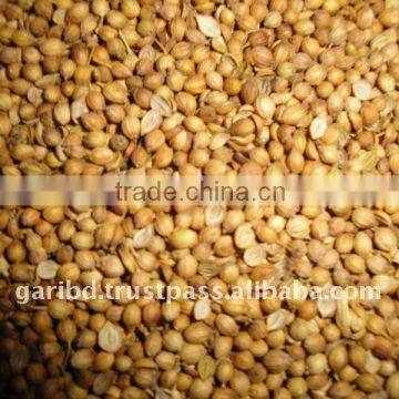 Coriander Seed