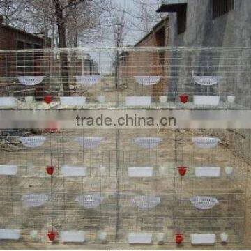 Galvanized Cage Wire Mesh/Pigeon Cage /bird Cage photo-2
