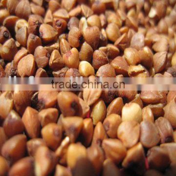 Roasted Buckwheat with origin in China