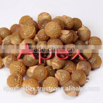 Sapindus Mukorossi / Soap Nut Pods / Soap Nut Powder photo-4