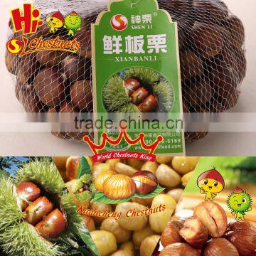 Organic Fresh Chestnuts --Bulk Hebei Chestnuts for Sale photo-2