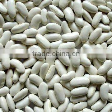 White Kidney Beans