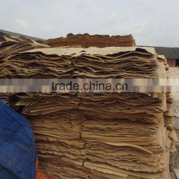 Wood veneer for plywood moisture 18%