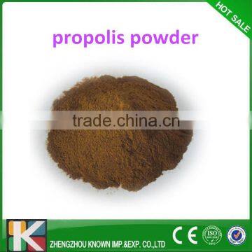 Top quality Raw Propolis Powder/Bee propolis on sale