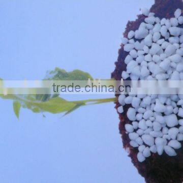 ammonium sulphate