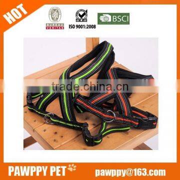 Chain Dog Harness photo-4