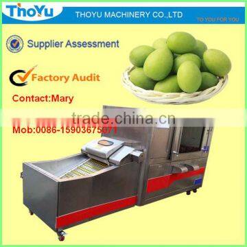 Olive Core Separating/ Separator/Remover/ Seed Extracting Machine/ Separator/ Separating Machine(SMS: 0086-15903675071)