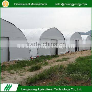 Latest design smooth surface plastic tunnel greenhouse and price