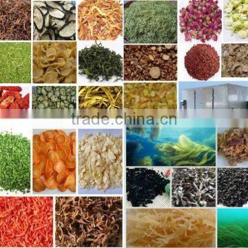 Induatrial Garlic Dehydrator Drying Machine photo-5