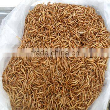 Dried Mealworm by Freeze for Pet (cat ,dog and Chicken) Food photo-5