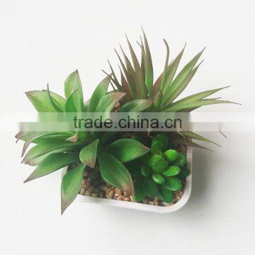 Wholesale Ornamental Plants Small Plastic Succulent Plant Bonsai