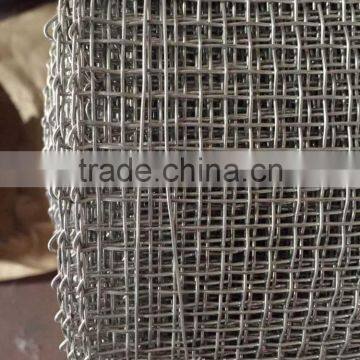 Galvanized Welded Wire Mesh From Guangzhou Supply photo-4