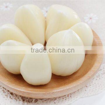 Best Price of Chinese Fresh Garlic photo-4