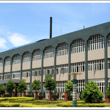 Haining Dawuwei Bulb Factory company overview - view 1