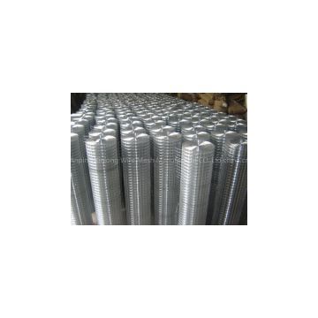 Welded Wire Mesh Rolls(factory price)