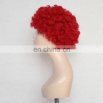Switzerland Afro Kinky Fan Wig FGW-0026 photo-3