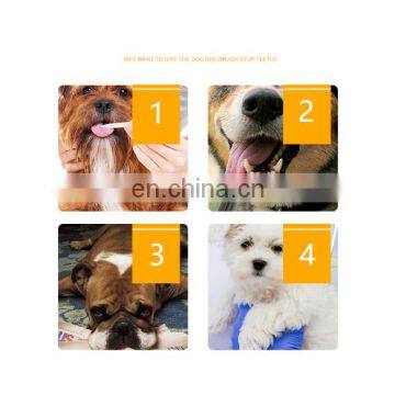 Hot Sale Pet Tooth Cleaning Products Eco-friendly Dog Toothpaste Dental Care Tool Toothbrush Set photo-4