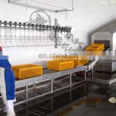 Tunnel Type Vegetable Basket Cleaning Machine Laboratory Washing Rack for Rabbit Animal Cage Industrial Crate Basket Cleaner photo-3