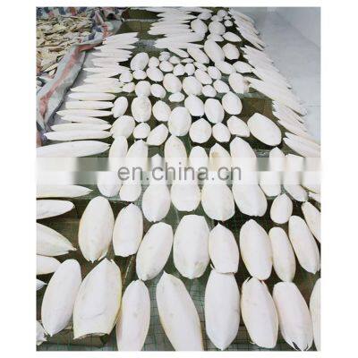 High Quality Animal Feed Body Part Vitamins NATURE Bag Packaging Natural White Dried Cuttlefish Bone photo-5