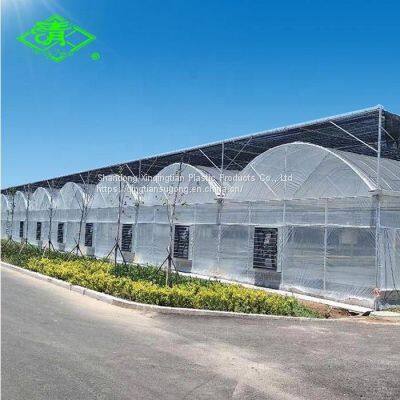 Blue Lifelong Anti-Fogging & Dripping Po Film UV Greenhouse Film for Agriculture