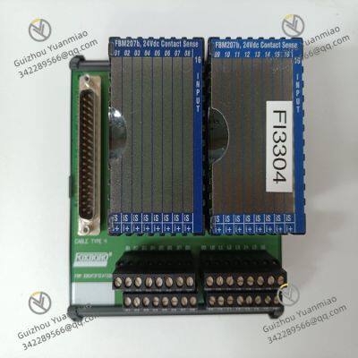 FOXBORO P0916PH P0916JS Terminal Block Modul