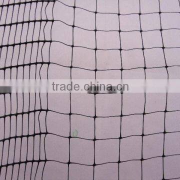 Stretched PP Net