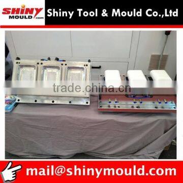 Preservation Storage Box Container mould