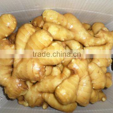 2016 Chinese fresh ginger wet dry half dry skin super quality